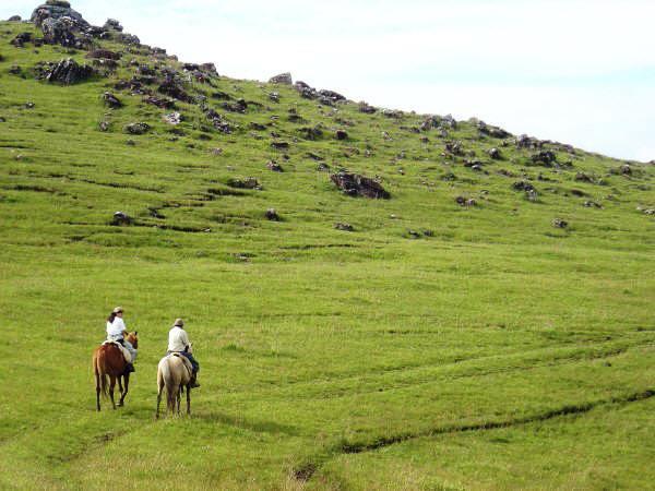 Pampas Ocupa 50% do território gaúcho; Caracterizado principalmente por gramíneas, lembrando um imenso capinzal; Estações bem