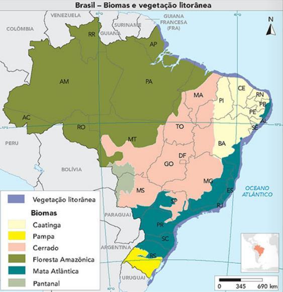 Biomas brasileiros Tipo principal de ecossistema que difere dos outros na estrutura de sua vegetação predominante e nas adaptações dos organismos às condições de clima e solo.