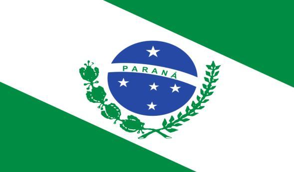 Paralelo: 24 00 00 S Meridiano: 51 00 00 W Significado da Bandeira Fundo