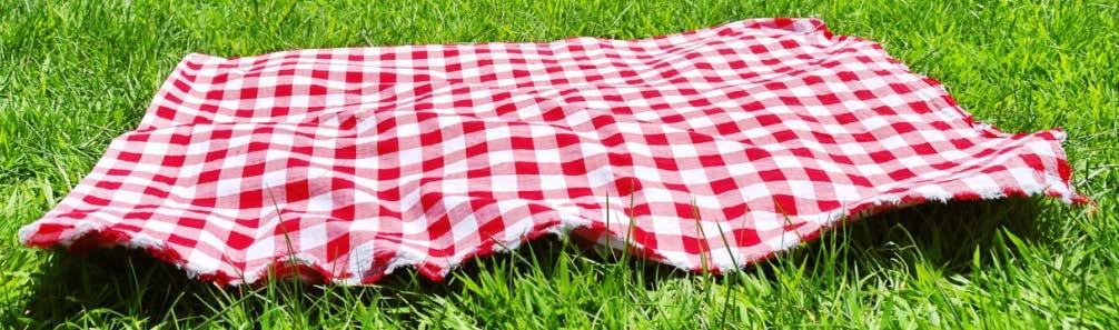 Create your own picnic list and draw the items