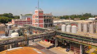 22 A BASF na América do Sul BASF América do Sul Relatório 2017 Complexo Químico de Guaratinguetá (SP, Brasil) e modernas em relação à gestão energética.