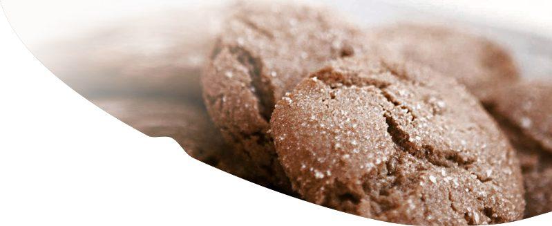 DOCES Bolachinha Fit de Coco 120g de óleo de coco 1/2 xícara de Eritritol Sanavita 1 colher de chá de Achocolatado Premium Sanavita 1 ovo 4 colheres de sopa de kefir 1 xícara de farinha de coco 2