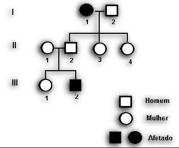 Análise de Genealogias Representação de indivíduos