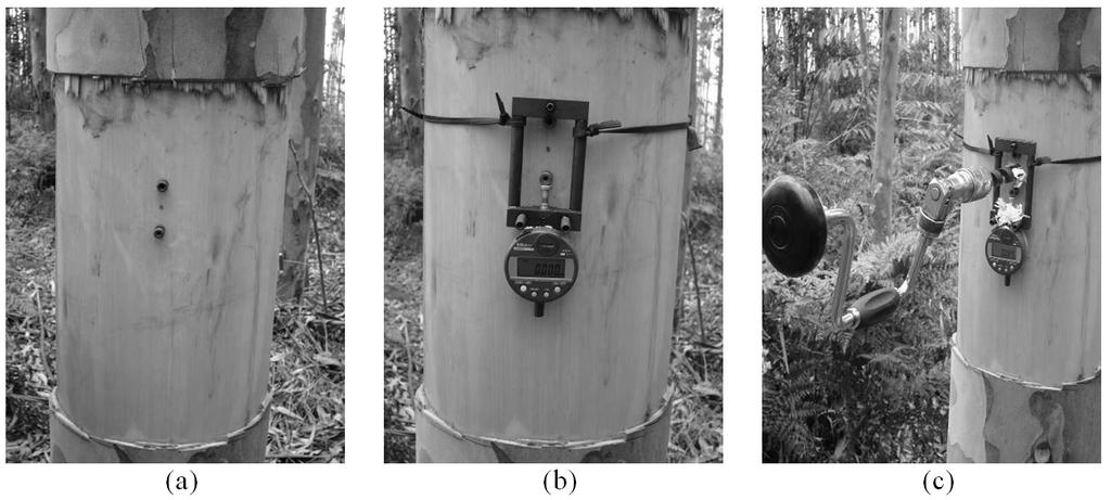 FIGURA 1: Medição da deformação residual longitudinal (DRL): fixação dos pinos (a); fixação do extensômetro (b); perfuração do tronco com auxílio de uma furadeira manual (c).