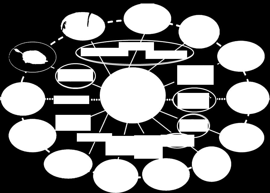 Técnicas Fonte: Modern Grid