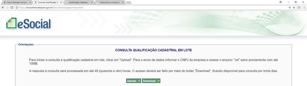 Qualificação - Consulta em Lote Para consultar o