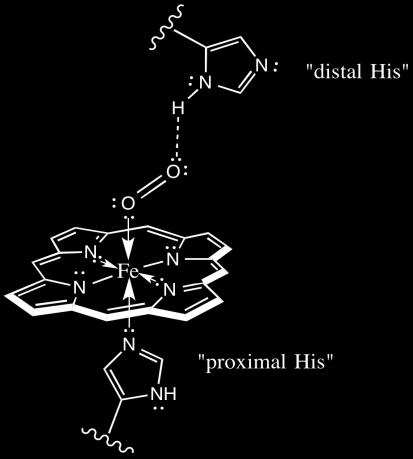 O 2 ligação 1 sítio coordenação Fe 2+ Fe 3+ IRREVERSÍVEL!