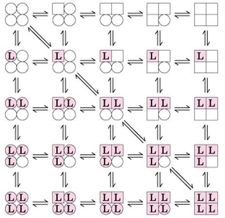 Modelos para mecanismo da ligação cooperativa Koshland (1966): Sequencial.