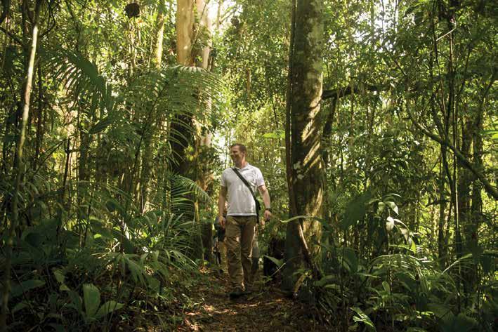 A COMUNICAÇÃO O Parque das Neblinas, além de ser um espaço de conservação de ecossistemas, tem buscado compreender todas as relações socioambientais que envolvem a área.