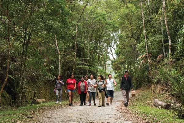 OS RELACIONAMENTOS E A VISITAÇÃO A temática relacionamentos é fundamental para que o Parque das Neblinas atinja seus objetivos, pois são as pessoas, as instituições, a diversidade de atores e as