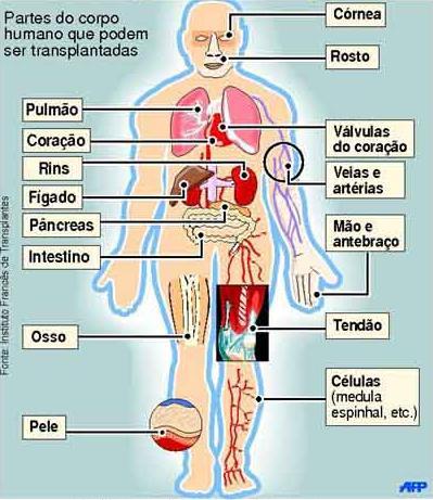 DEFINIÇÃO DE TRANSPLANTE DE ÓRGÃOS O transplante é um procedimento cirúrgico que consiste na reposição de um órgão (coração, pulmão, rim,