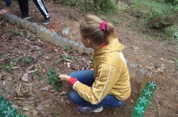 Oportunidade A prática do curso hoje foi na horta em nível. Já havíamos plantado alguns morangos, mas precisava refazer a estrutura.