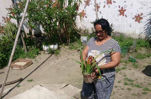 Transformação O pessoal já esteve no meu quintal. Hoje, mudamos algumas plantas que eu tinha em vaso para um canteiro de garrafas Pet.