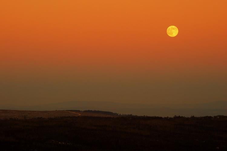 Impacto Ambiental: A produção animal é responsável por