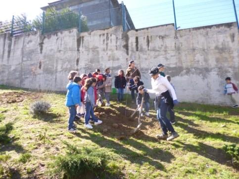 V o l u m e 1, E d i ç ã o I I P á g i n a 9 Dia da Árvore - 21 de março de 2018 Centro Escolar Numa oportuna colaboração