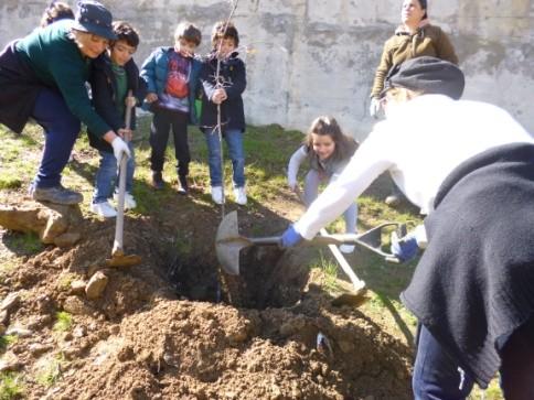 pré-escolar e do 1º ciclo, bem como as suas educadoras de infância e os seus professores, celebraram o Dia da Árvore da melhor