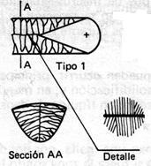 Estrutura tipo 1: estrutura colunar: os grãos colunares crescem até o centro do cordão, determinando uma linha de encontro definido; apresentase a velocidades de soldagem elevadas.