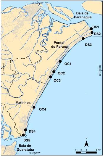 Sendo assim, foram escolhidas quatro localidades nas regiões influenciadas desembocaduras estuarinas.