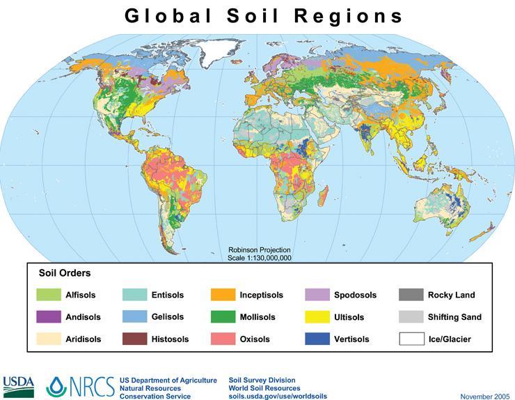 12 Figura 8 Esquema de classificação de solos, Soil Taxonomy. Fonte: Adaptado de Web site, US Department of Agriculture, 2017. 3.4.