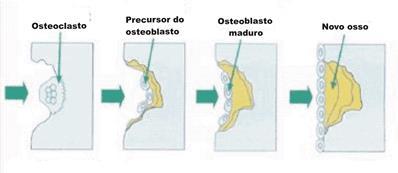 Metabolismo Ósseo UNIDADE