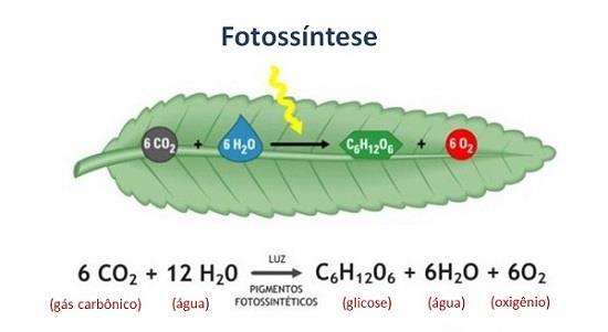 8. Os elementos químicos N e Cl podem combinar-se formando a substância: Dados: N (Z = 7); Cl (Z = 17) a) NCl e molecular. b) NCl 2 e iônica. c) NCl 2 e molecular. d) NCl 3 e iônica.