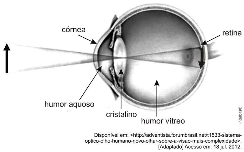 Exercícios Fazendo uma análise simplificada do olho humano, pode-se compará-lo a uma câmara escura. Fazendo uma análise cuidadosa, ele é mais sofisticado que uma câmera fotográfica ou filmadora.