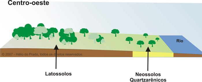 Distribuição dos solos