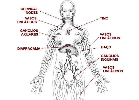 Á Ó Ô Ö ÑÙ ØÓ ÔÓ ÖÓ Ó Ñ Ó ÕÙ Ó Ò Á Ó Ò ÕÙ Ù ÓÖÔÓ ÓÑÓ ÔØ Ö ÙÑ ÙÑ ÒØÓ ÓÖ ØÙ Ò Ó Ò Ð º Ç Ü Ö Ó ÓÖØ Ó Ñ Ù ÙÐÓº ÙÑ ÒØ Ô Ö ÔÙÐÑÓÒ Öº Á ØÓ ÙÑ ÒØ ÖÙÐ Ó ÒÙØÖ ÒØ ÓÜ Ò Ó ÜÖ Ó ØÓ¹ØÓÜ Ò Ö ÓÒ Óº ØÓ Ö Ó ÕÙ Ñ ØÓ Ó Ó