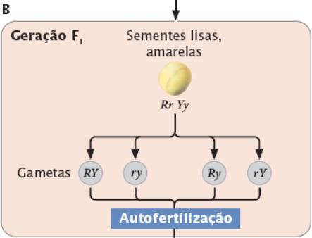 Relembrando.