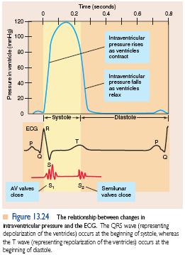 Sístole e diástole Eventos no AE, VE e aorta durante o