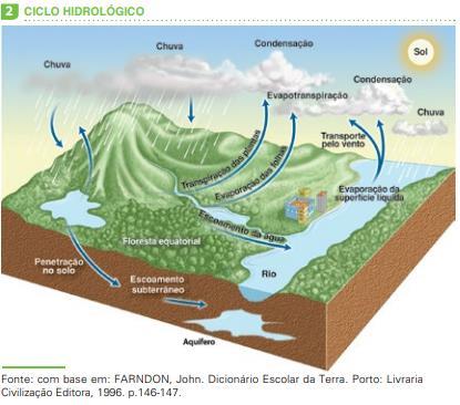 Ciclo