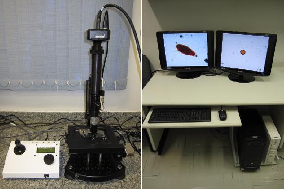 Imagem de microscopia óptica Trabalho de Celso Suzuki e Jancarlo Gomes,