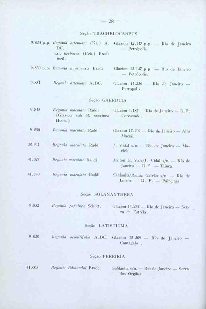 28 Seção TRACHELOCARPUS 9.830 p.p. Begonia attenuata (Kl.) A. Glaziou 12.147 p.p. Rio de aneiro DC. Petrópolis. var. herbácea (l'cll.) Br.ide ined. 9.830 p.p. Begonia angraensis Brade Glaziou 12.