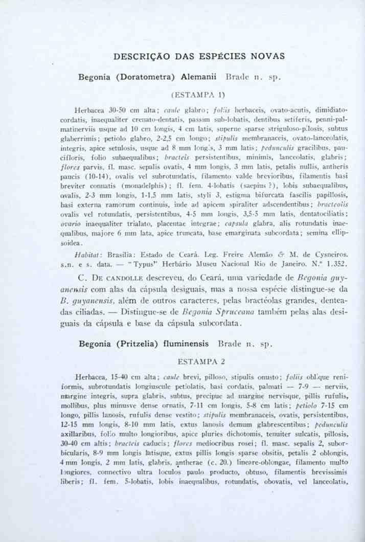 DESCRIÇÃO DAS ESPÉCIES NOVAS Begonia (Doratometra) Alemanii Brade n. sp. (ESTAMPA 1) Herbácea 30-50 cm alta; caule glabro; foliis herbaceis.