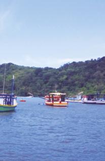 MAI/JUN 2018 5 Certificada como Município Verde Azul, Bertioga mantém em suas praias bom padrão de qualidade Na divisa de Bertioga com o município de São Sebastião estão as Terras Indígenas