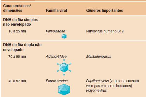 Nomenclatura Sufixos usados: Classificação taxonômica Sufixos Exemplos Família viridae Herpesviridae Gênero virus Simplexvirus Uma espécie viral compreende um grupo de vírus que compartilham a mesma