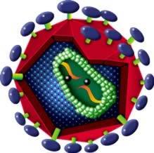 Classificação De acordo com a célula hospedeira: Vírus