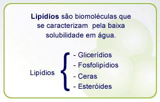 Lipídeos Nos animais o excedente energético é