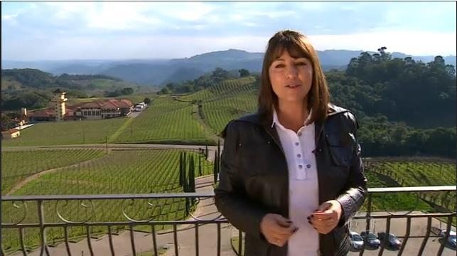 Produtores de vinho comemoram um recorde histórico