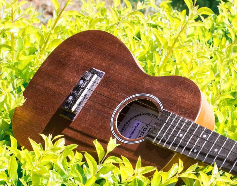 laterais e fundo em Mahogany Escala e cavalete em Blackwood Encordoamento Black Nylon VUK309 MH UKULELE ELÉTRICO MAHOGANY VUK309 SOPRANO Ukulele Soprano elétrico 21 Modelo VUK309 MH Tampo, laterais e