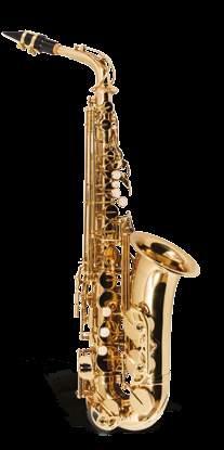 VSCL7N BÔNUS PAD SAVE DESUMIDIFICADOR BÔNUS PAD SAVE DESUMIDIFICADOR VSCL7N CLARINETES VSSP7N BÔNUS PAD SAVE DESUMIDIFICADOR SAXOFONE SOPRANO