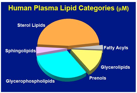 the first decade of lipidomics Colesterol Ésteres de Colesterol