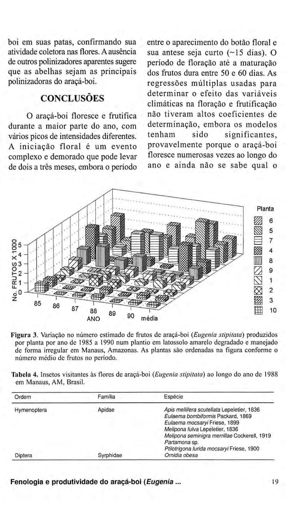 boi em suas patas, confirmando sua atividade coletora nas flores. A ausência de outros polinizadores aparentes sugere que as abelhas sejam as principais polinizadoras do araçá-boi.