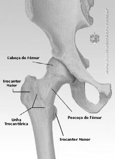 uma de suas principais funções: sustentar o corpo. Ela invade seu corpo sem avisar, piora a sua qualidade de vida e pode ser fatal.