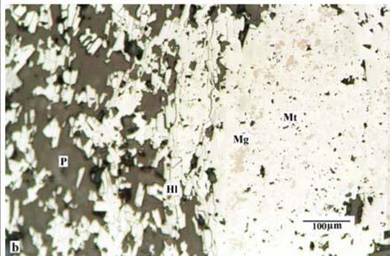 Hematita Compacta com relictos de magnetita e poros Hematita Compacta com pouca porosidade, martita e magnetita relictual