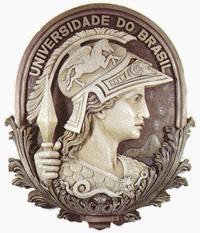 Universidade Federal do Rio de Janeiro Centro de Ciências Jurídicas e Econômicas Faculdade de Administração e Ciências Contábeis Curso de Biblioteconomia e Gestão de Unidades de Informação DANYARA DE