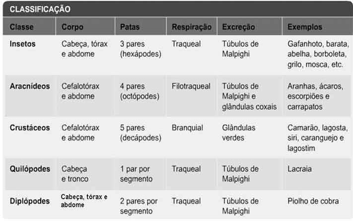 Bio. Equinodermos São animais exclusivamente marinhos.