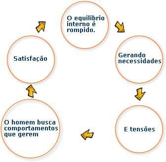 o Ciclo Motivacional.