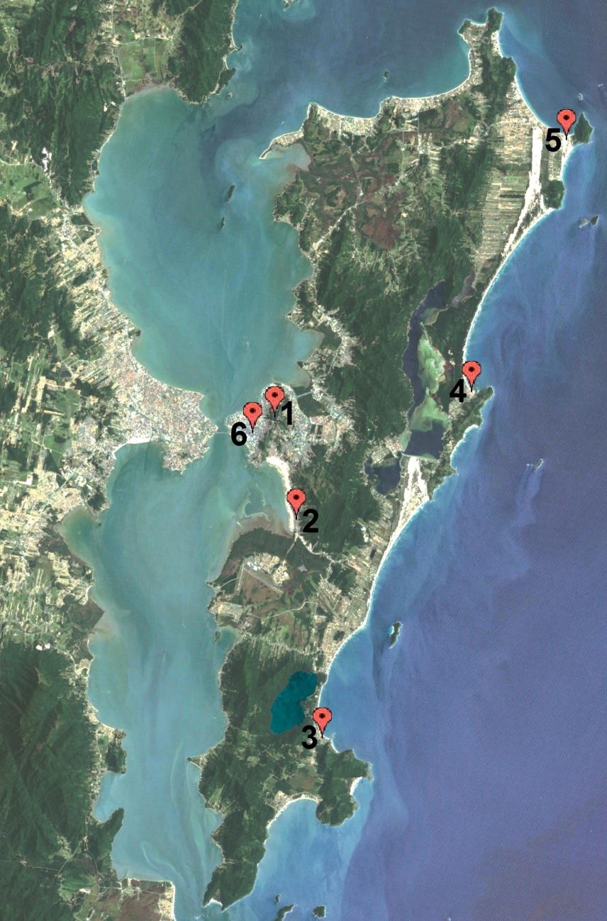 Durante a saída de campo é planejado a visita a seis pontos abrangendo desde o sul até o norte da ilha de Santa Catarina, são eles: (1) Morro da Cruz, (2) Via Expressa Sul, (3) Praia da Armação, (4)