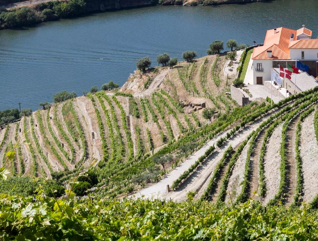 FACTS ABOUT QUINTA DO PÉGO +10 employees Impressive list of international awards QUINTA DO PÉGO AMKA owns an attractive quinta with 30 hectares planted with vines in the best classified area of the